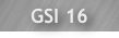 GSI 16